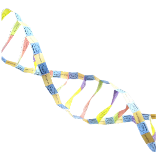 DNA struktur - Origamisett