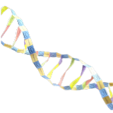 DNA struktur - Origamisett