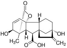 Gibberellinsyre (GA) 500 mg